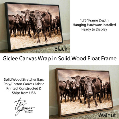 Black Angus Canvas Art - Rustic Western Wall Decor Cow Canvas Print Canvas-Black Frame / 12 x 18 Inches Wall Art Teri James Photography