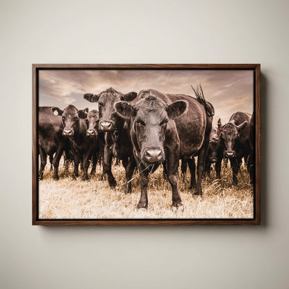 Black Angus Canvas Art - Rustic Western Wall Decor Cow Print