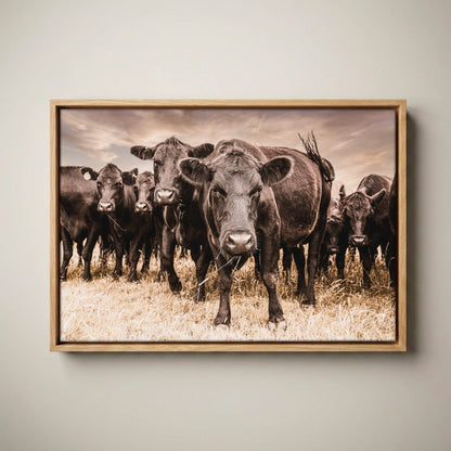 Black Angus Canvas Art - Rustic Western Wall Decor Cow Print Canvas-Natural Oak Float Frame / 12 x 18 Inches