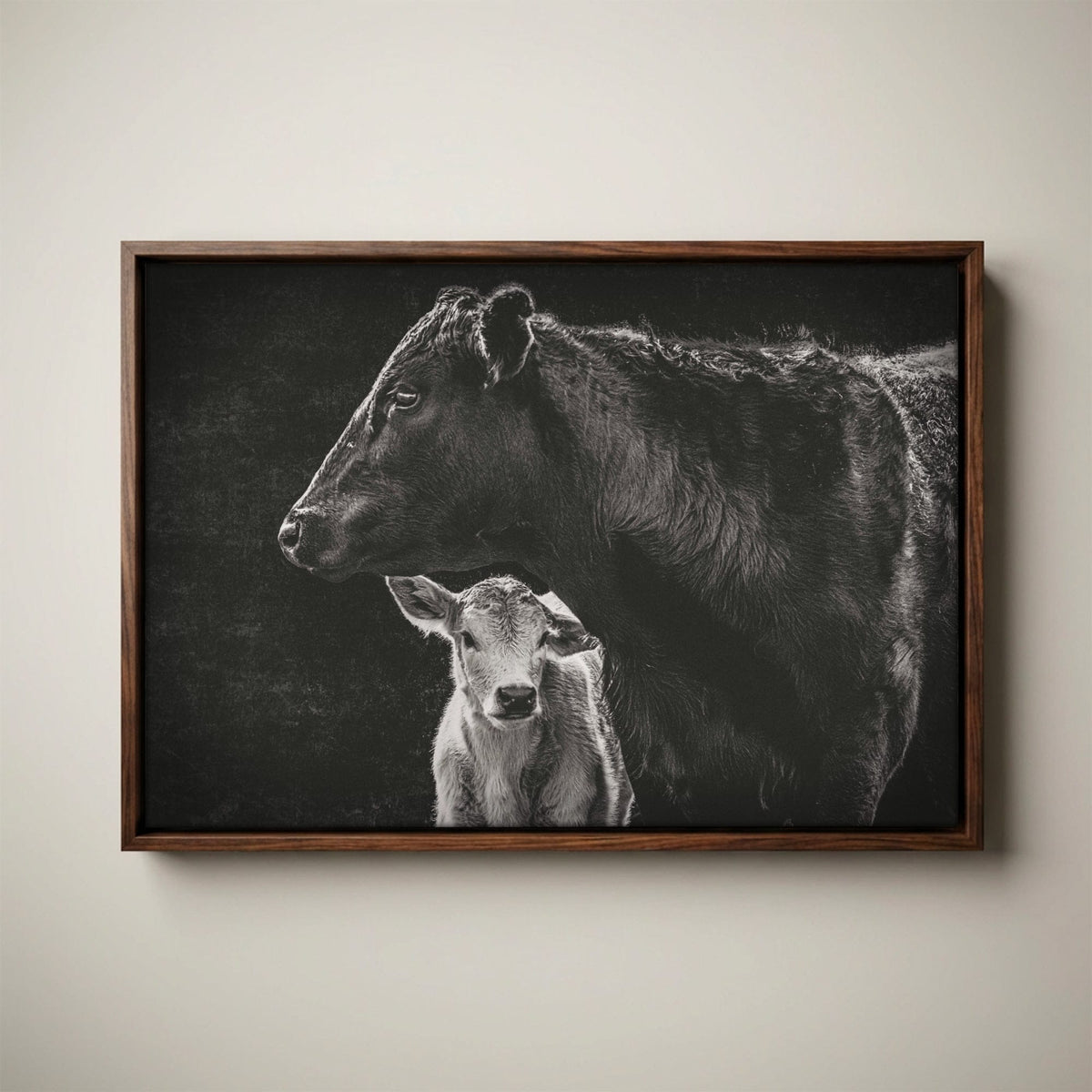 Black Angus Canvas Print - Cow and Calf Print