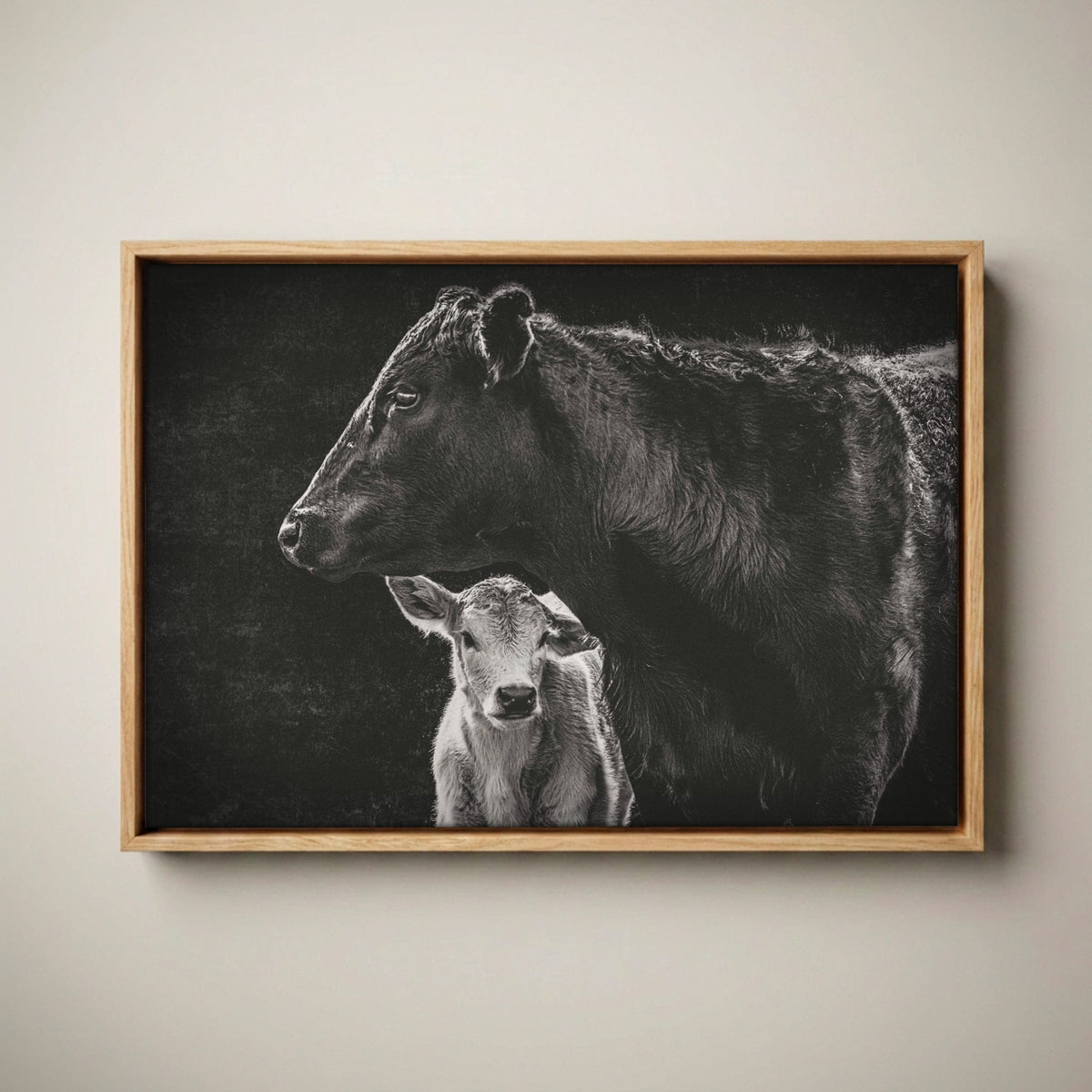 Black Angus Canvas Print - Cow and Calf Print Canvas-Natural Oak Float Frame / 12 x 18 Inches