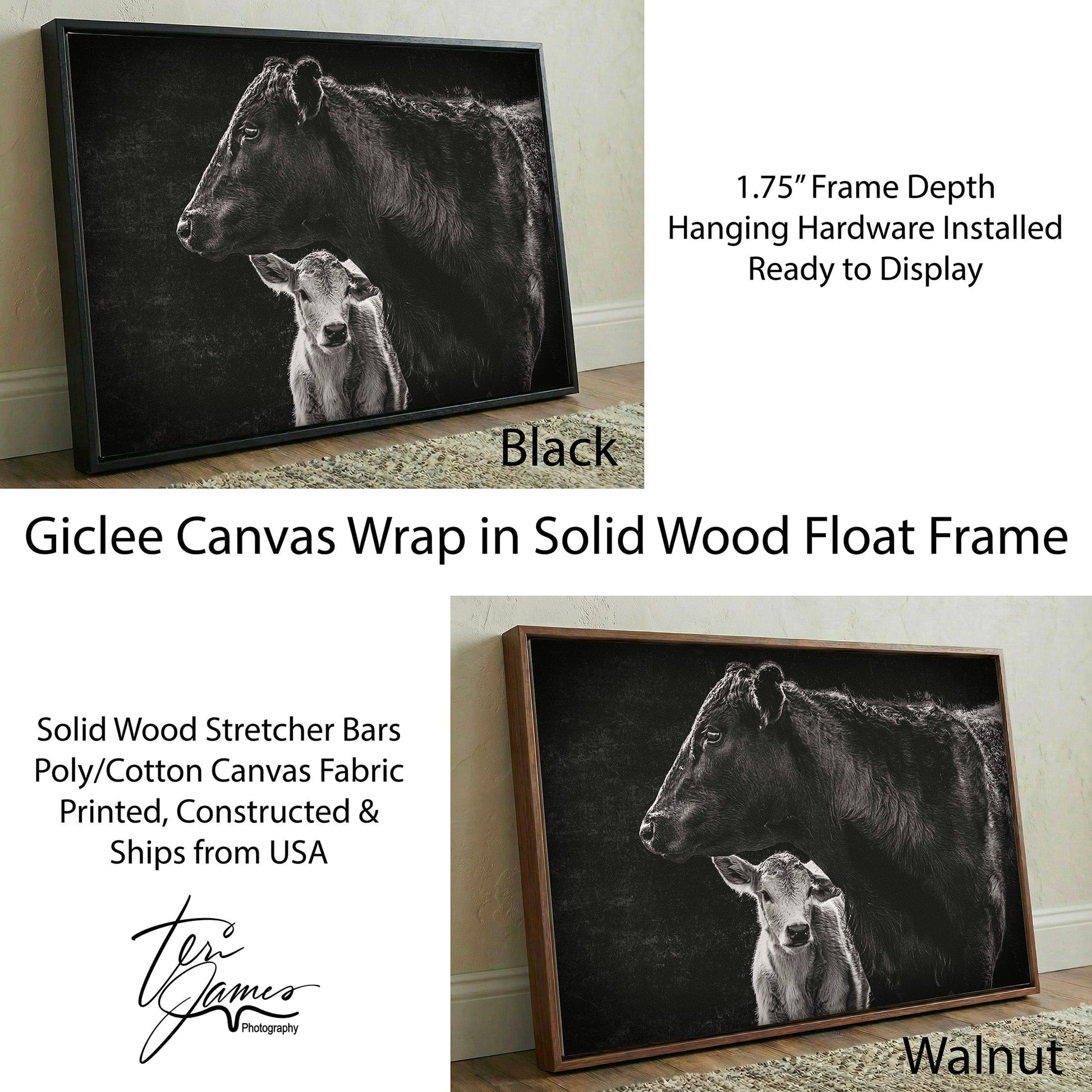 Black Angus Canvas Print - Cow and Calf Print - Western Wall Art Decor Canvas-Black Frame / 12 x 18 Inches Wall Art Teri James Photography