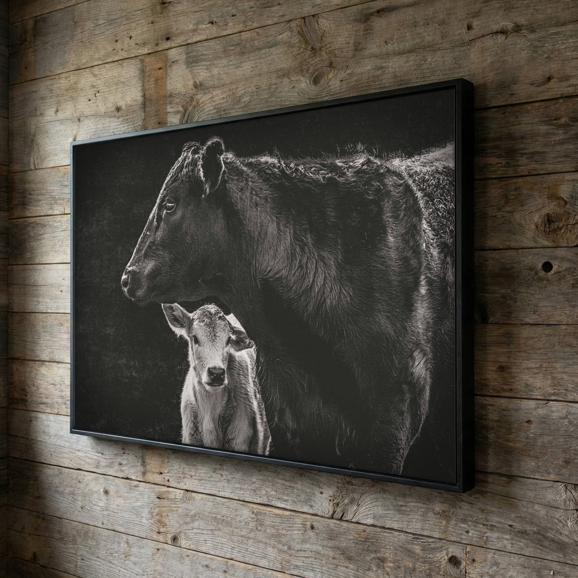 Black Angus Canvas Print - Cow and Calf Print - Western Wall Art Decor Wall Art Teri James Photography