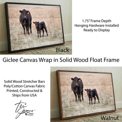 Black Angus Canvas Print – Cow and Calf Rustic Nursery Art by Teri James Canvas-Black Frame / 12 x 18 Inches Wall Art Teri James Photography