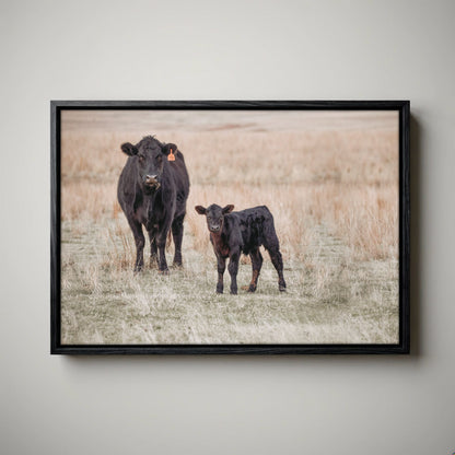 Black Angus Canvas Print – Cow and Calf Western Nursery Art