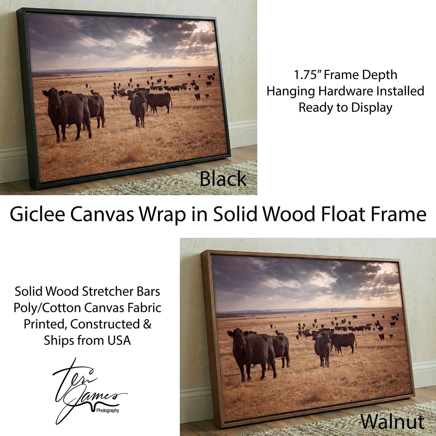 Black Angus Canvas Print – Rustic Prairie Cattle Wall Art for Home Decor Canvas-Black Frame / 12 x 18 Inches Wall Art Teri James Photography