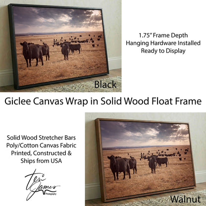 Black Angus Canvas Print – Rustic Prairie Cattle Wall Art for Home Decor Canvas-Black Frame / 12 x 18 Inches Wall Art Teri James Photography