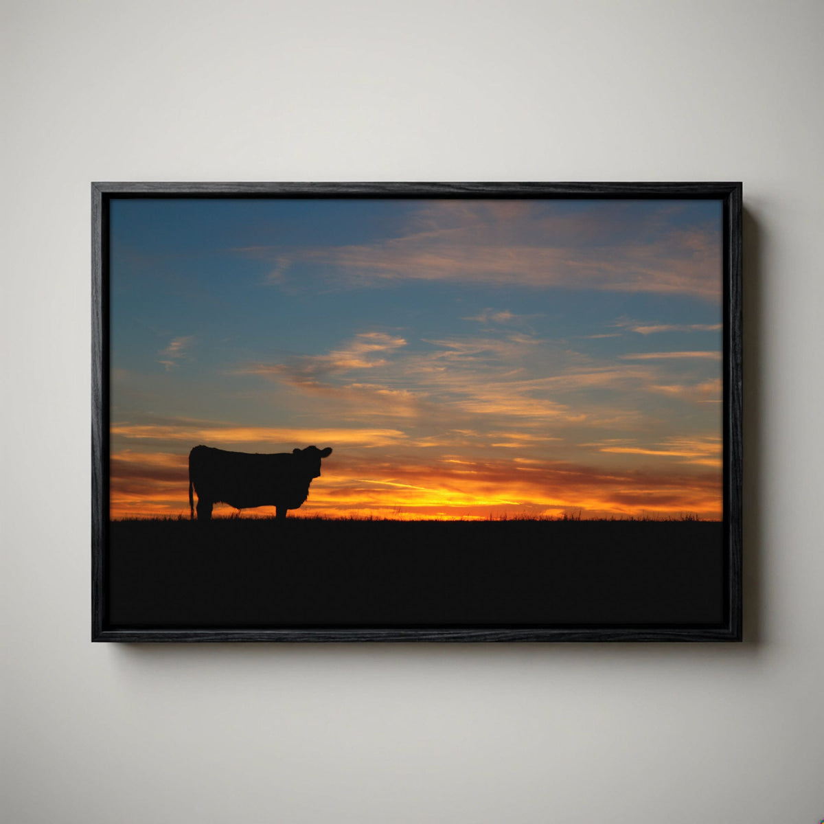 Black Angus Canvas Print – Sunset Wall Art