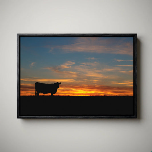Black Angus Canvas Print – Sunset Wall Art
