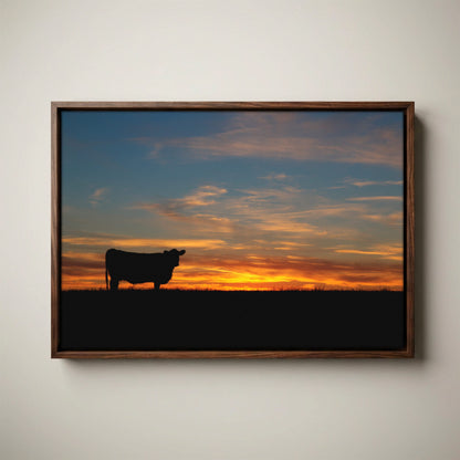 Black Angus Canvas Print – Sunset Wall Art