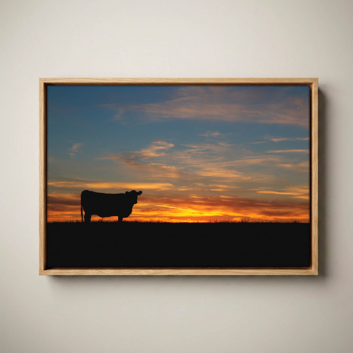 Black Angus Canvas Print – Sunset Wall Art Canvas-Natural Oak Float Frame / 12 x 18 Inches