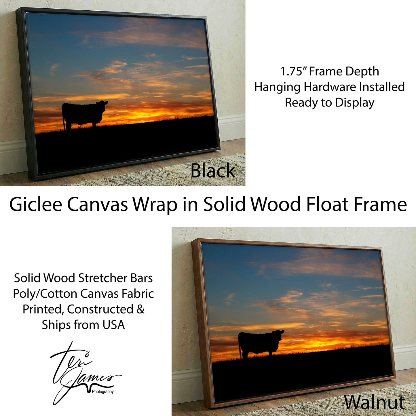 Black Angus Canvas Print – Vibrant Sunset Wall Art for Rustic Farmhouse Decor Canvas-Black Frame / 12 x 18 Inches Wall Art Teri James Photography