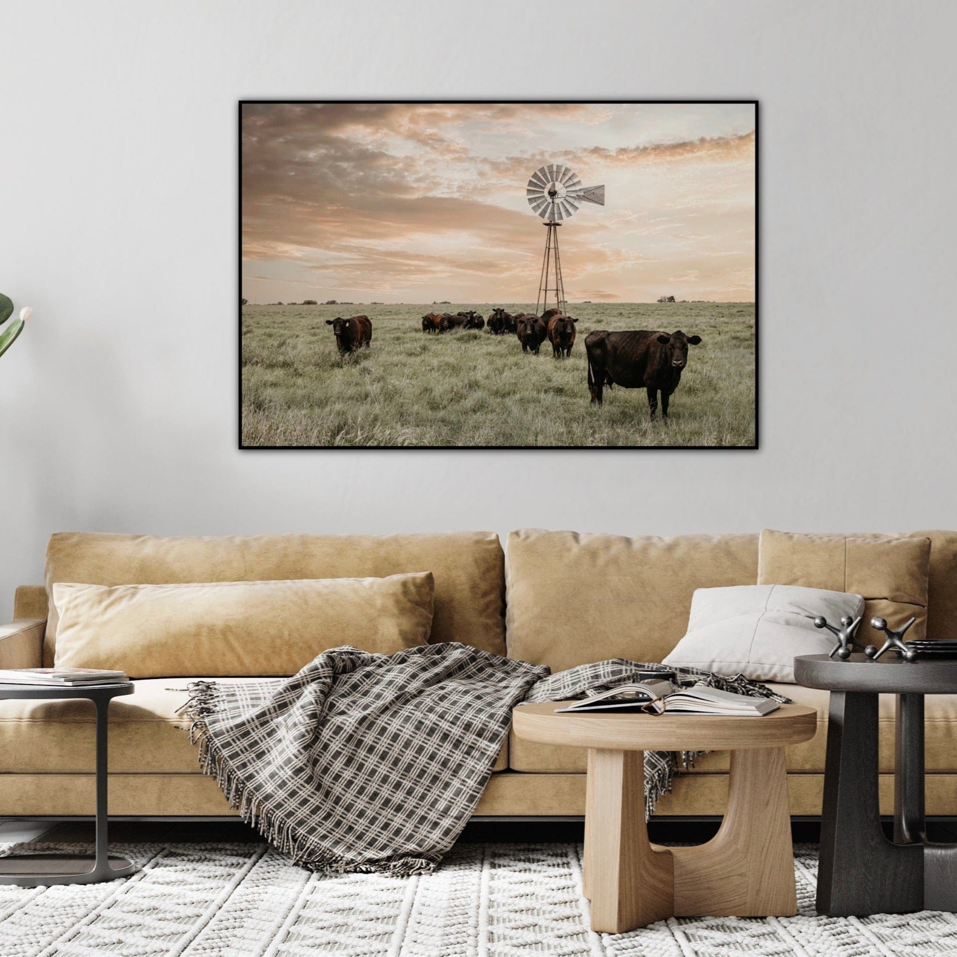 Teri James Photography Wall Art Black Angus Cattle and Old Windmill