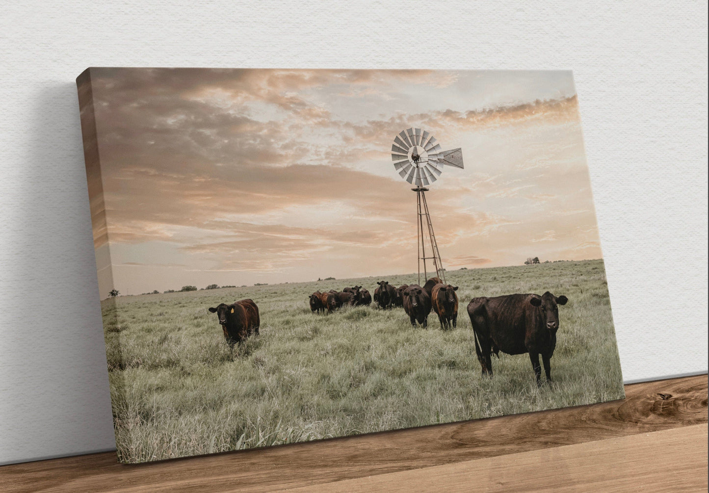 Black Angus Cattle and Old Windmill Canvas-Unframed / 12 x 18 Inches Wall Art Teri James Photography