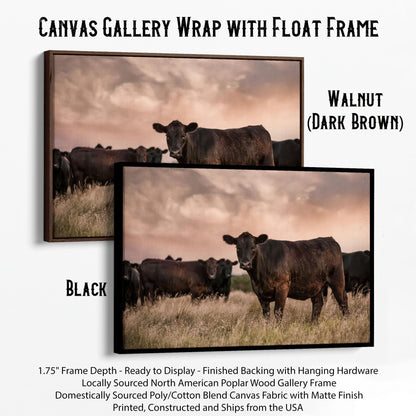 Black Angus Cattle at Sunset - Angus Cows Wall Art Canvas Canvas-Black Frame / 12 x 18 Inches Wall Art Teri James Photography