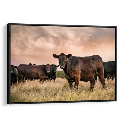 Black Angus Cattle at Sunset - Angus Cows Wall Art Canvas Canvas-Black Frame / 12 x 18 Inches Wall Art Teri James Photography