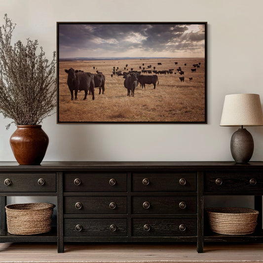 Black Angus Cattle Canvas Print Wall Art Teri James Photography
