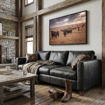 Black Angus Cattle Canvas Print Wall Art Teri James Photography