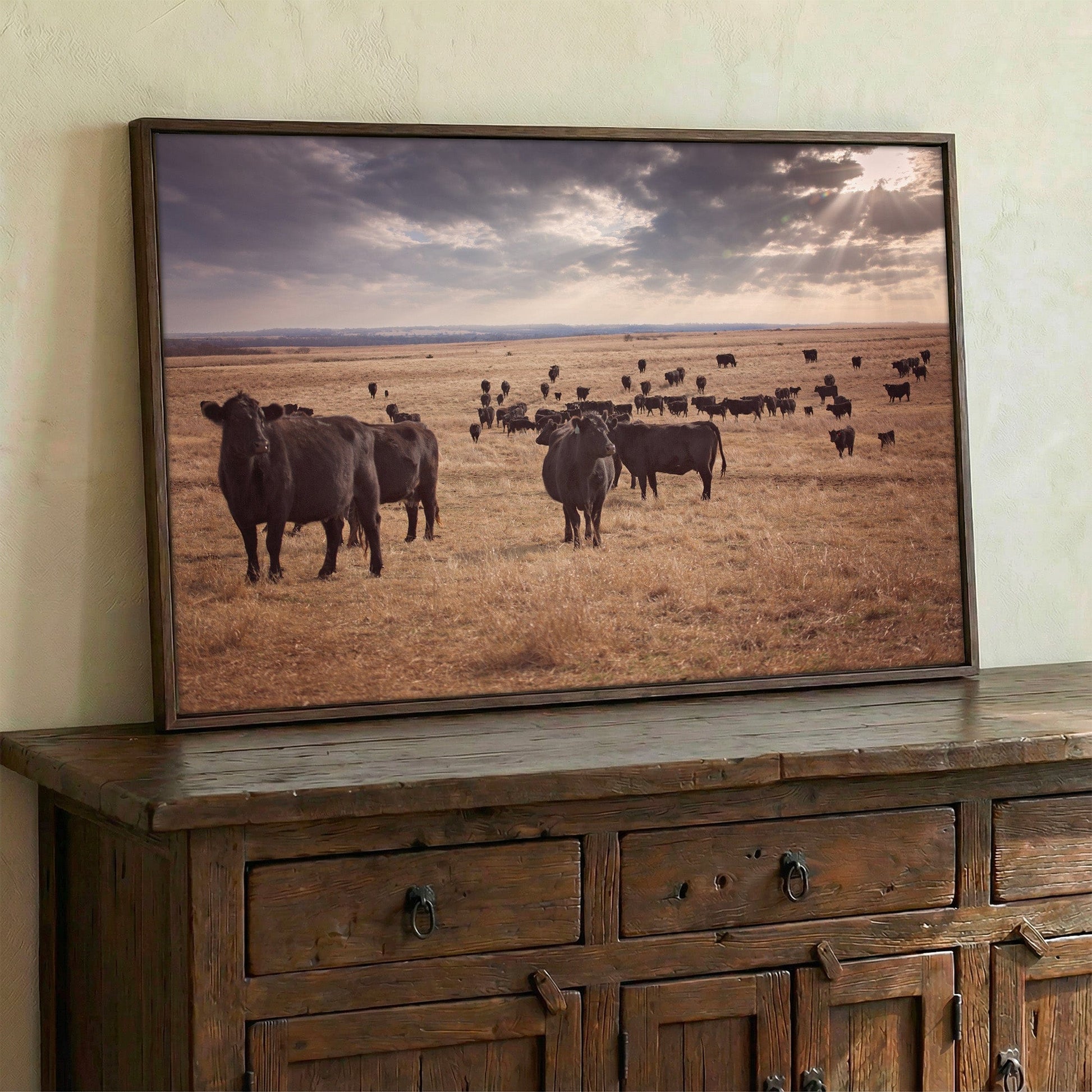 Black Angus Cattle Canvas Print Wall Art Teri James Photography