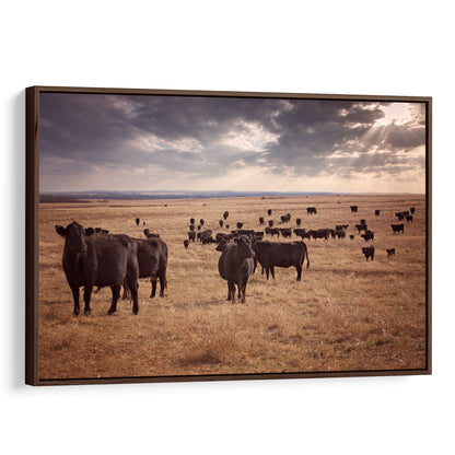 Black Angus Cattle Canvas Print Canvas-Walnut Frame / 12 x 18 Inches Wall Art Teri James Photography