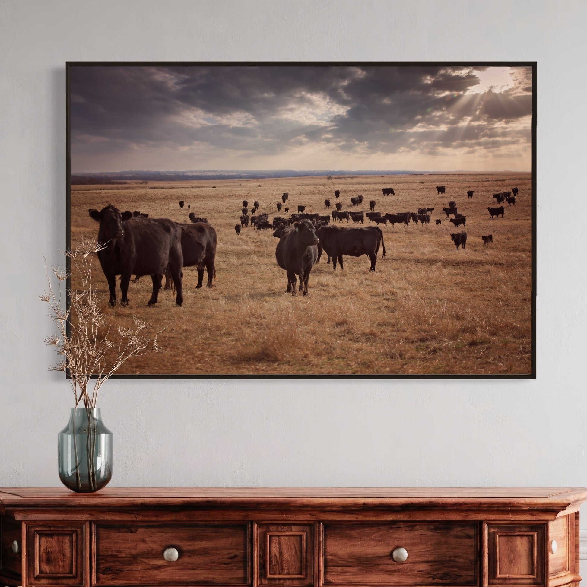 Black Angus Cattle Canvas Print Wall Art Teri James Photography