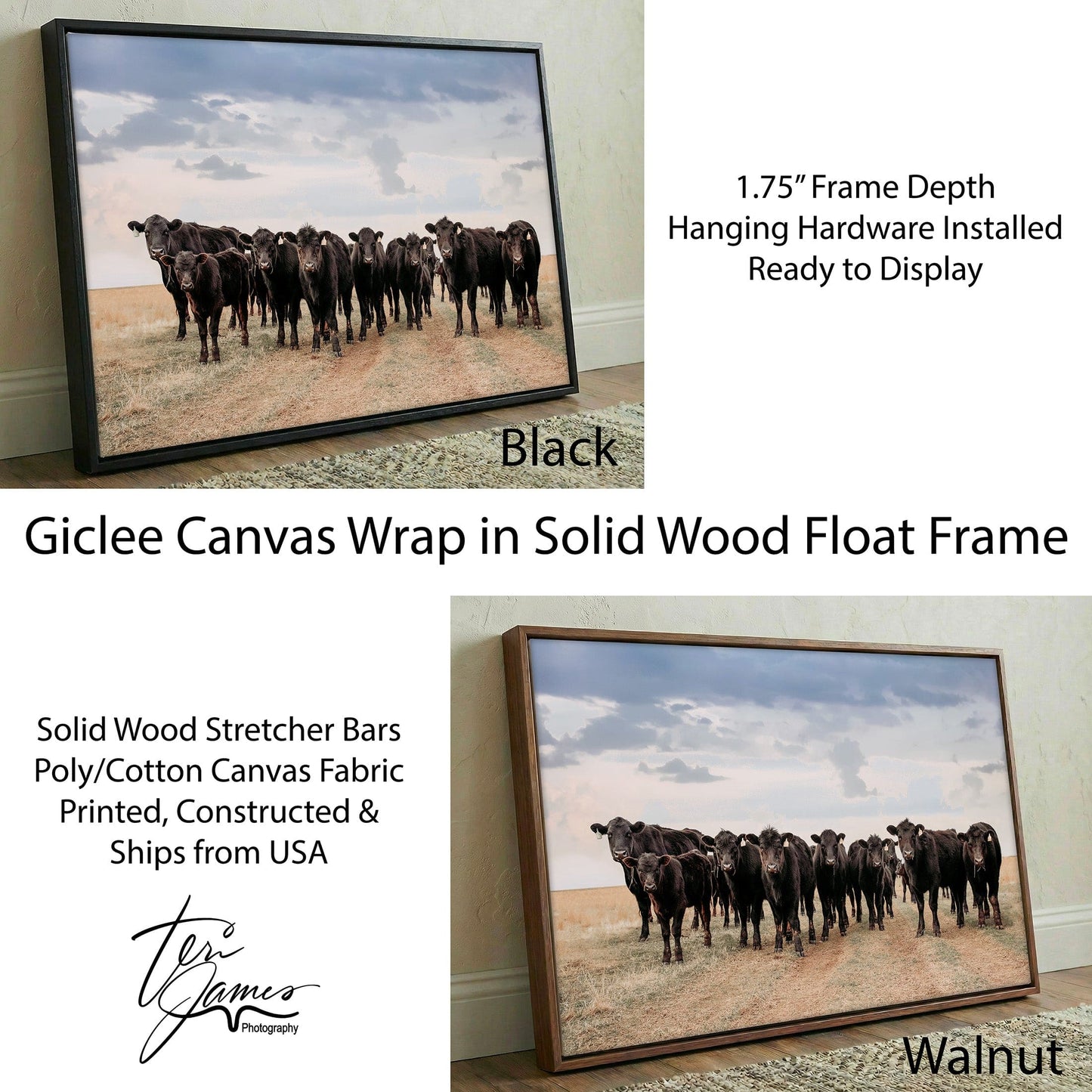 Black Angus Cattle Decor - Blue Oklahoma Sky Canvas-Black Frame / 12 x 18 Inches Wall Art Teri James Photography