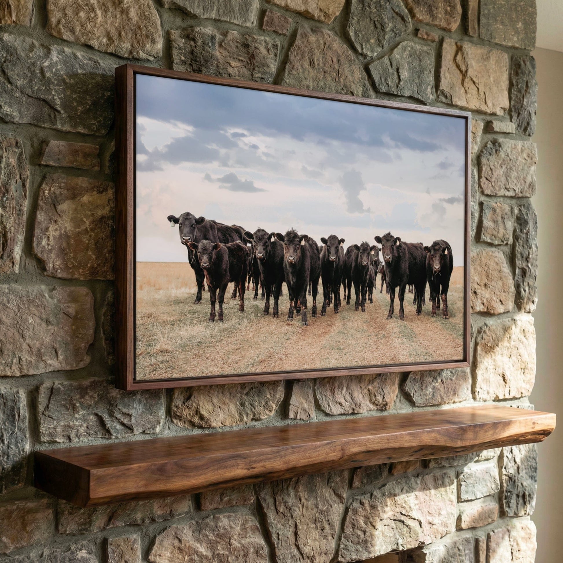 Black Angus Cattle Decor - Blue Oklahoma Sky Canvas-Walnut Frame / 12 x 18 Inches Wall Art Teri James Photography