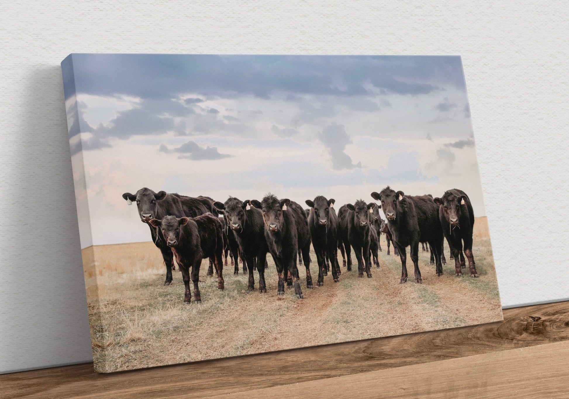 Black Angus Cattle Decor - Blue Oklahoma Sky Canvas-Unframed / 12 x 18 Inches Wall Art Teri James Photography