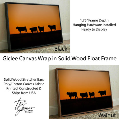 Black Angus Cattle Print – Orange Sunset Artwork For Rustic Ranch Decor Canvas-Black Frame / 12 x 18 Inches Wall Art Teri James Photography