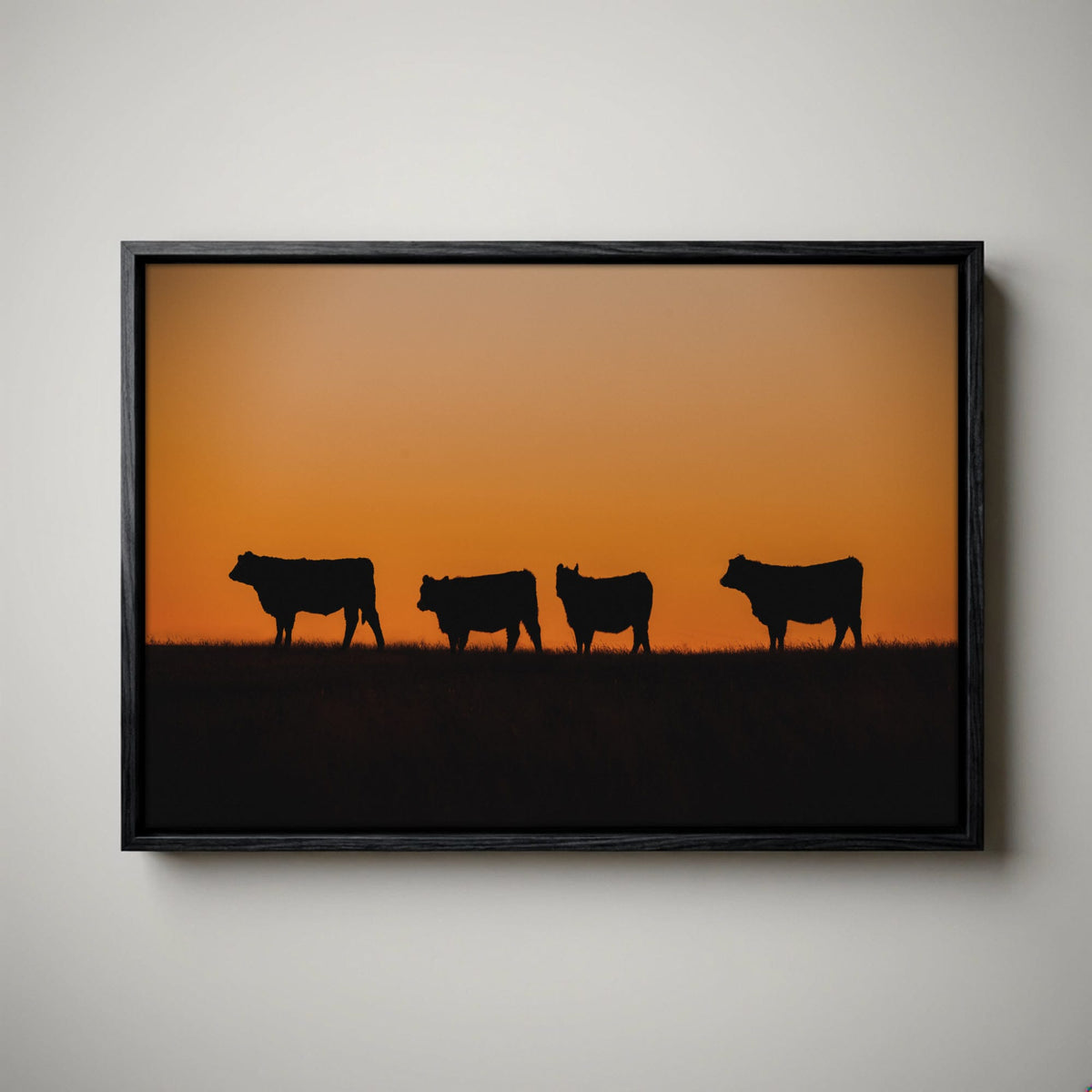 Black Angus Cattle Print – Orange Sunset Artwork