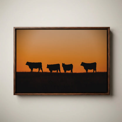 Black Angus Cattle Print – Orange Sunset Artwork