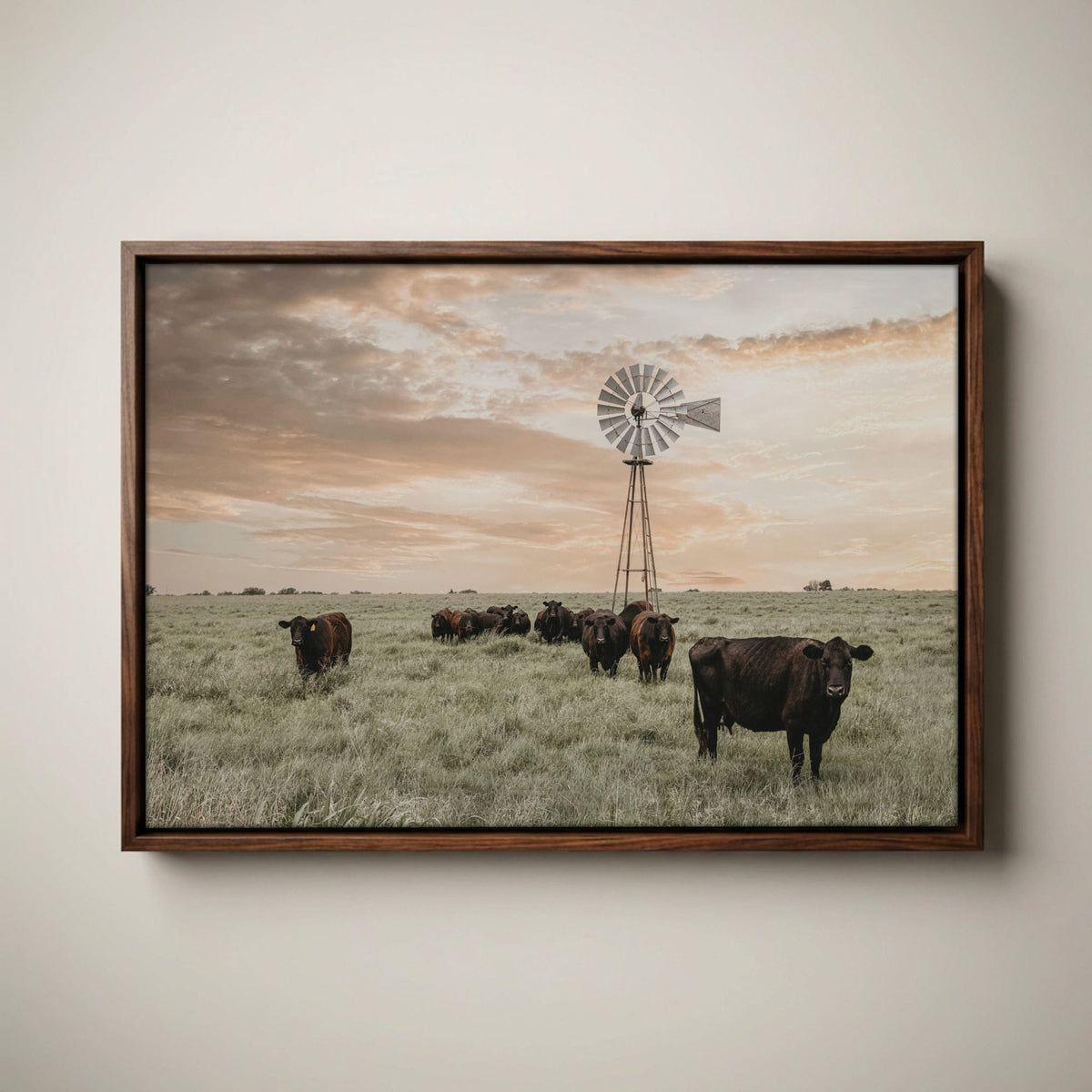 Black Angus Cattle Rustic Windmill Art