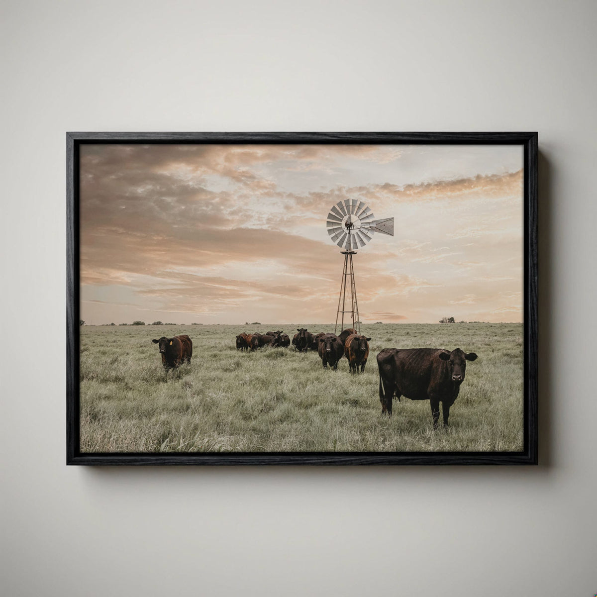 Black Angus Cattle Rustic Windmill Art