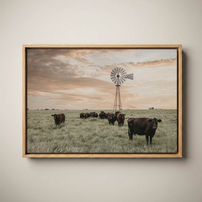 Black Angus Cattle Rustic Windmill Art Canvas-Natural Oak Float Frame / 12 x 18 Inches