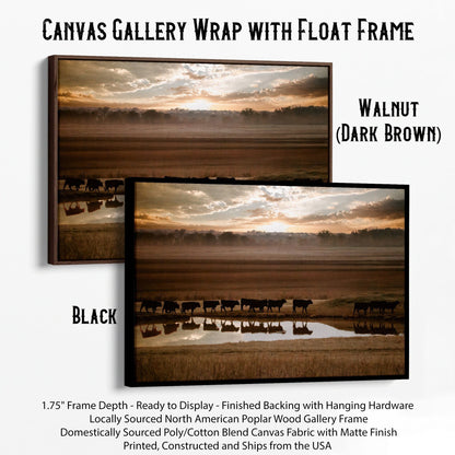 Black Angus Cattle Wall Art - Reflections Canvas-Black Frame / 12 x 18 Inches Wall Art Teri James Photography