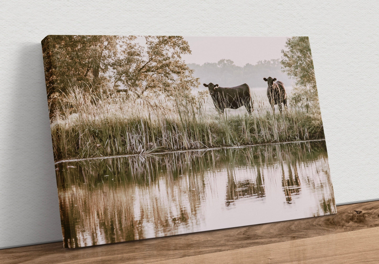 Black Angus Cattle Wall Art Canvas-Unframed / 12 x 18 Inches Wall Art Teri James Photography