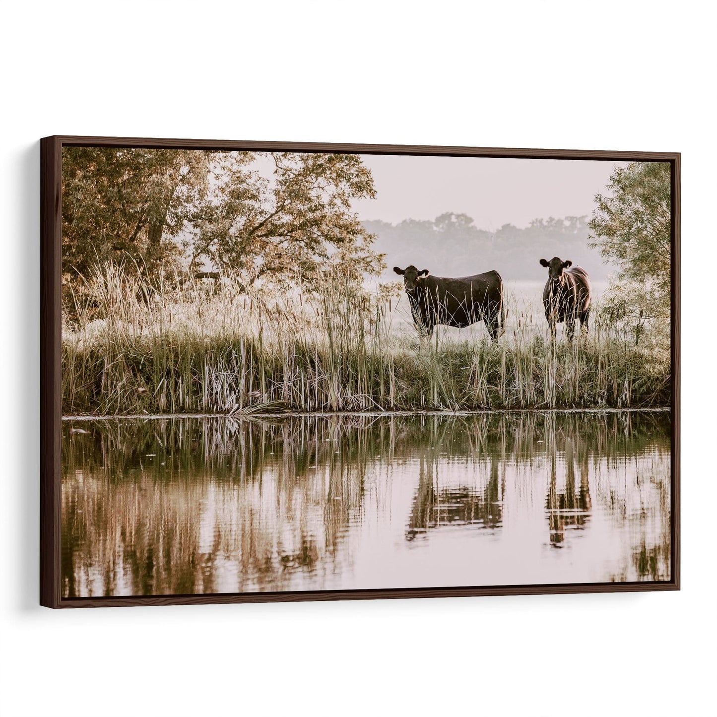 Black Angus Cattle Wall Art Canvas-Walnut Frame / 12 x 18 Inches Wall Art Teri James Photography