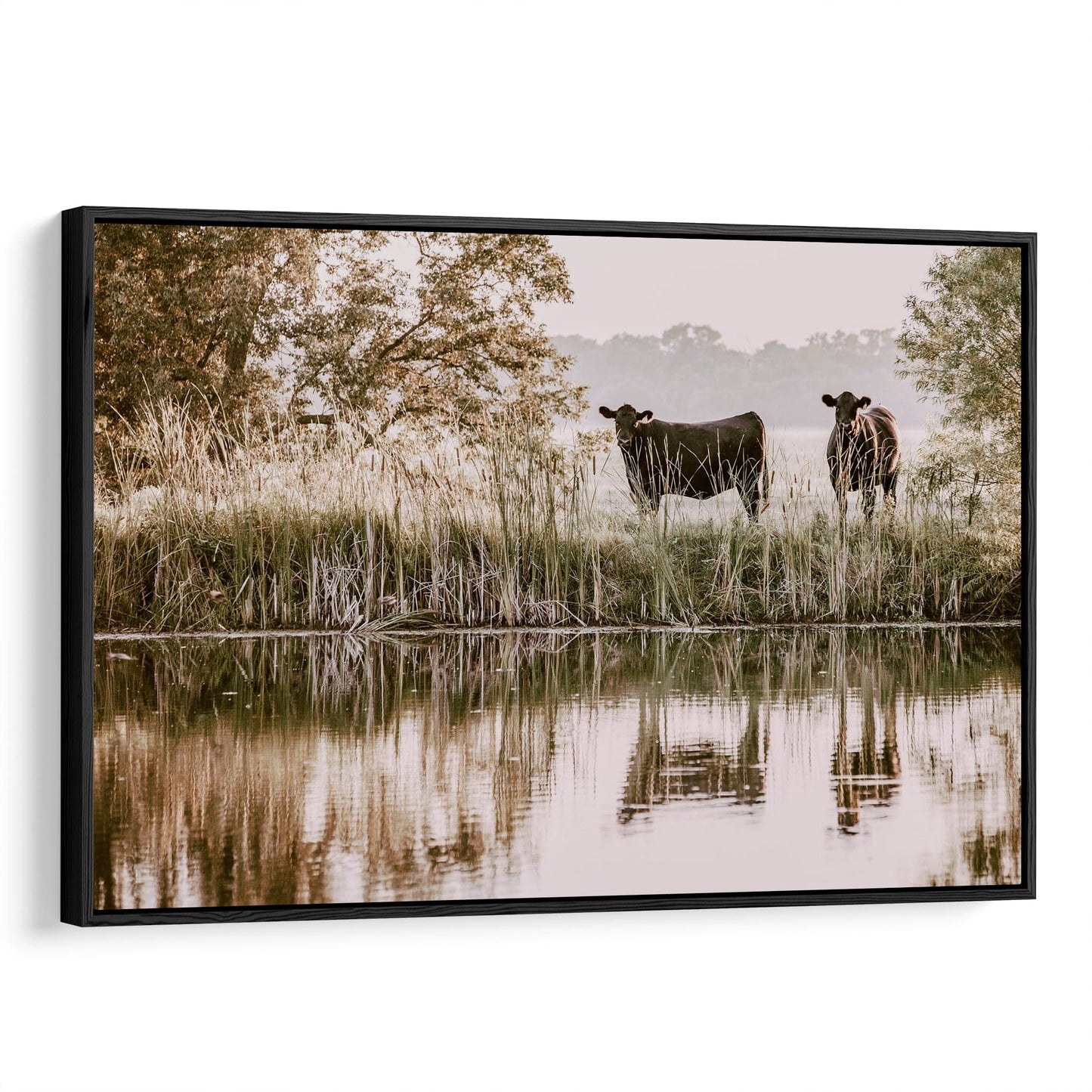 Black Angus Cattle Wall Art Canvas-Black Frame / 12 x 18 Inches Wall Art Teri James Photography