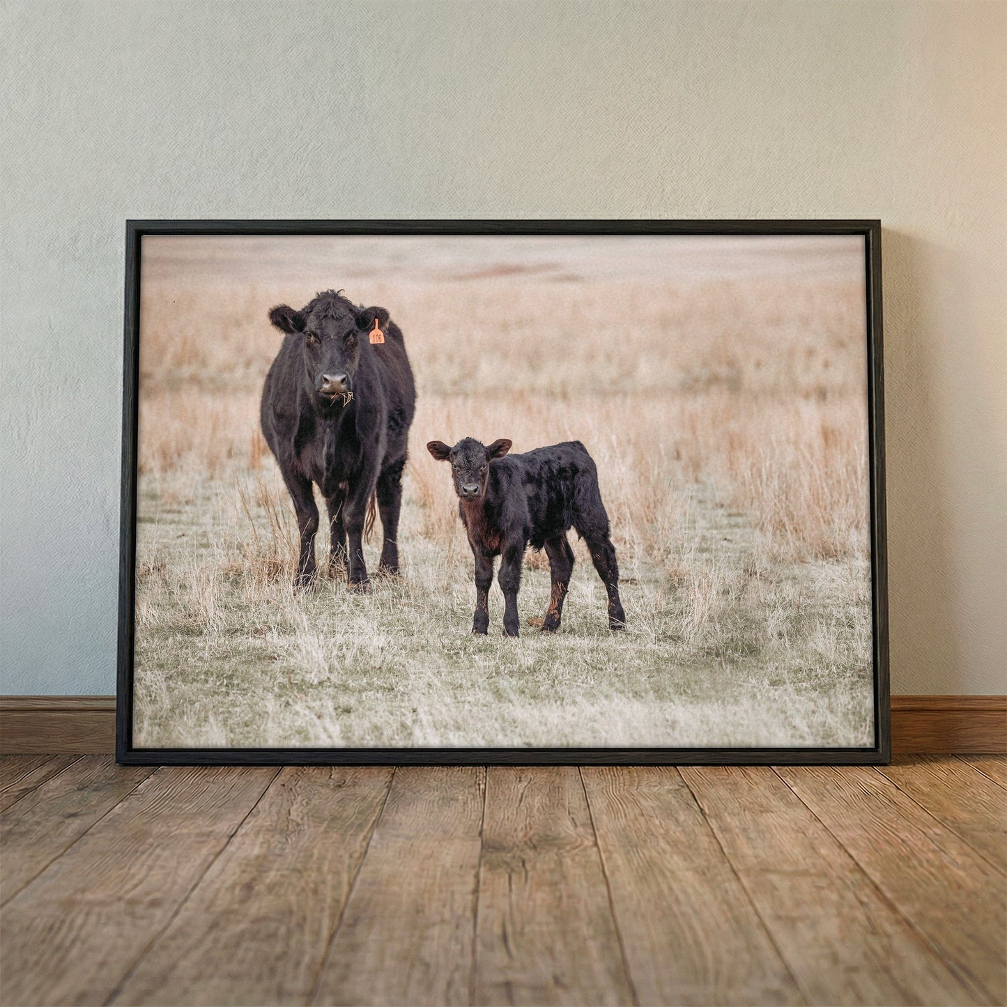 Black Angus Cow and Calf Canvas Print Wall Art Teri James Photography
