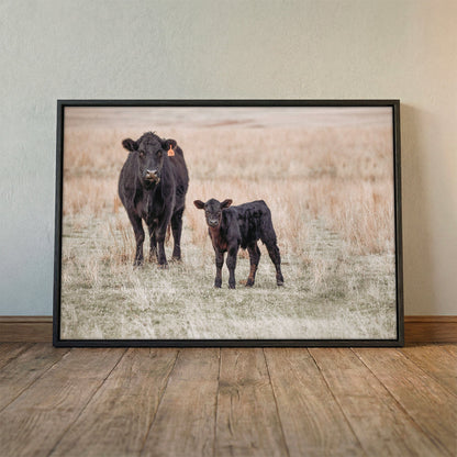 Black Angus Cow and Calf Canvas Print Wall Art Teri James Photography
