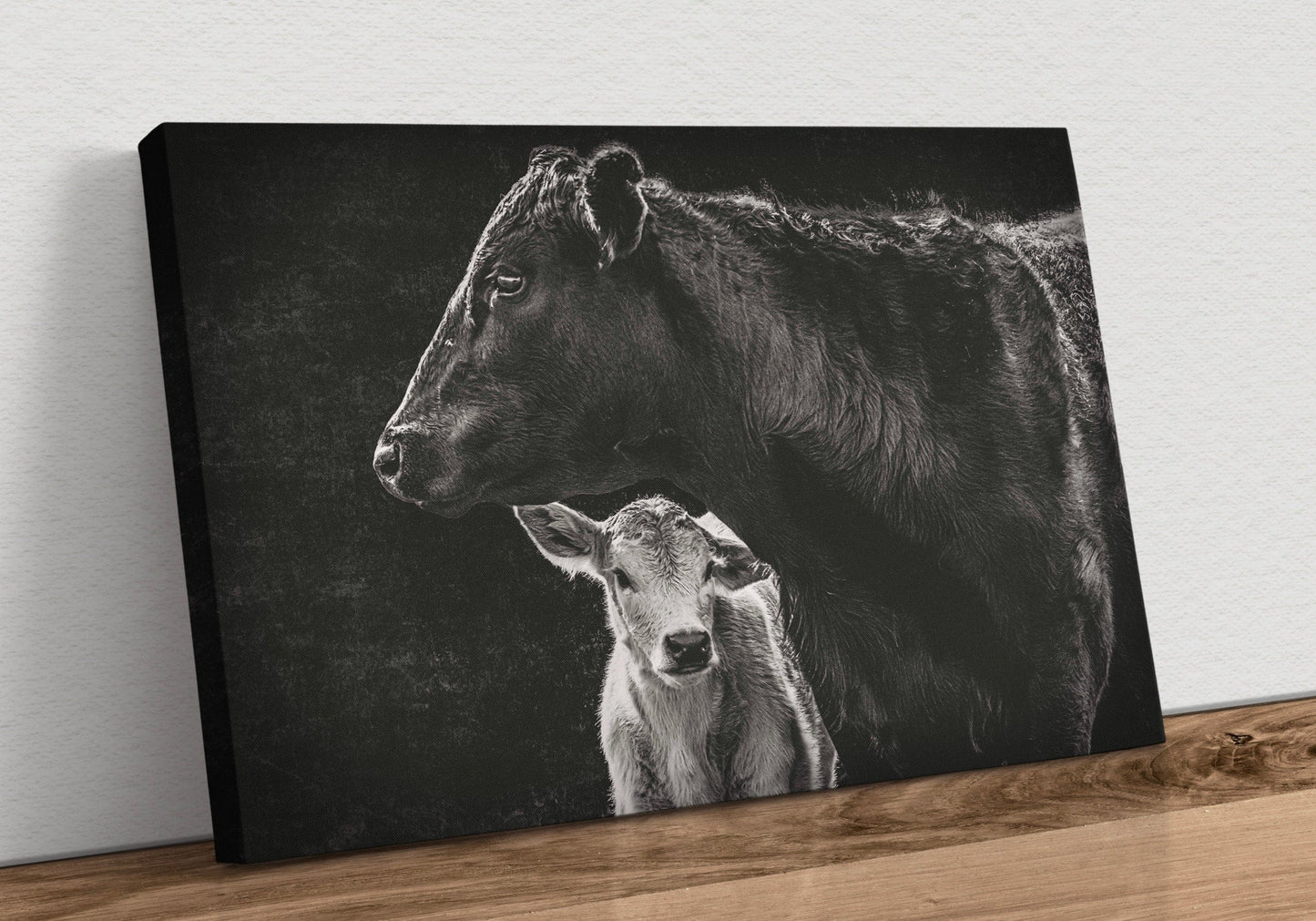 Black Angus Cow and Calf in Black & White - Modern Western Canvas Art Canvas-Unframed / 12 x 18 Inches Wall Art Teri James Photography