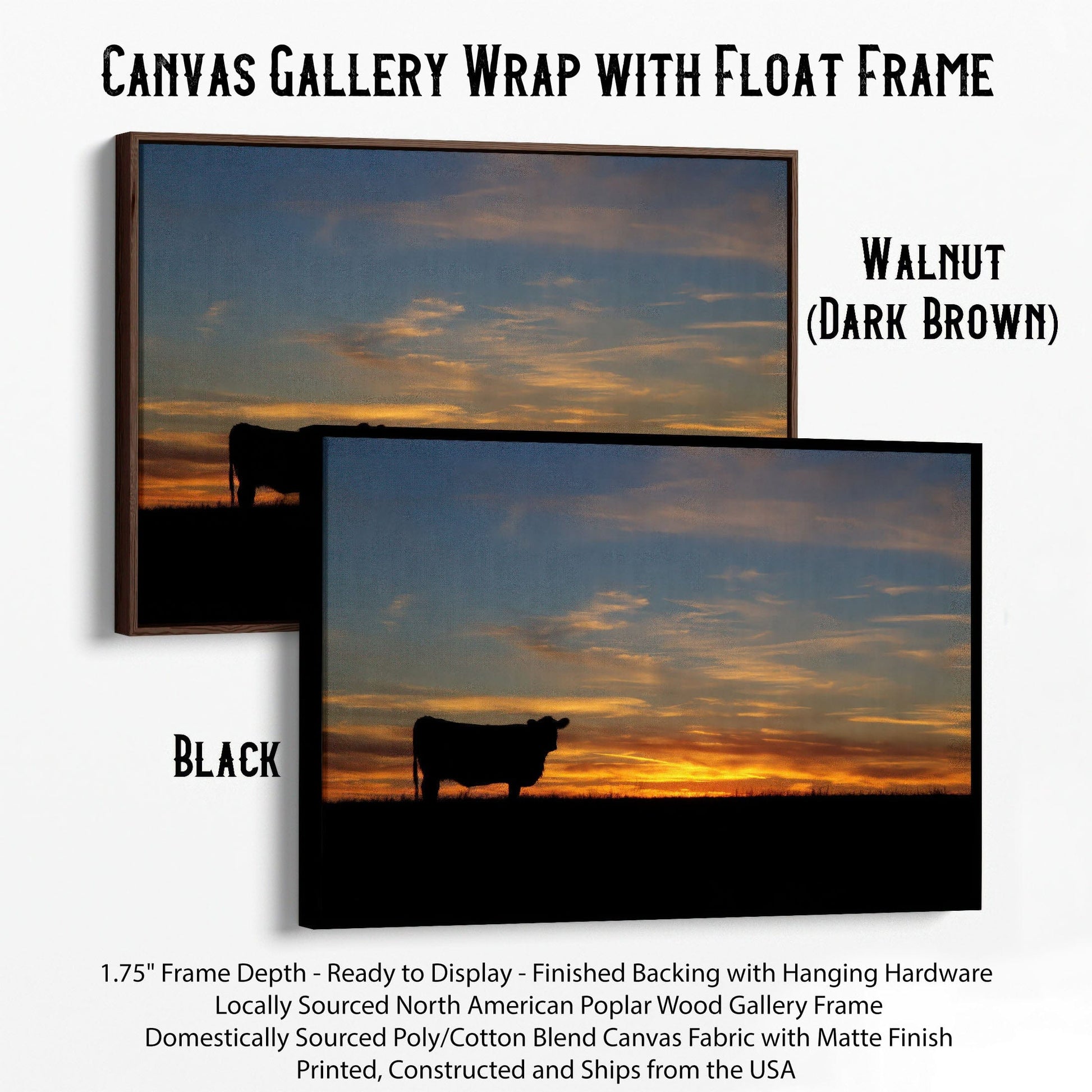 Black Angus Cow at Sunset Canvas Print Canvas-Black Frame / 12 x 18 Inches Wall Art Teri James Photography