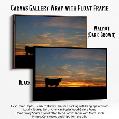 Black Angus Cow at Sunset Canvas Print Canvas-Black Frame / 12 x 18 Inches Wall Art Teri James Photography