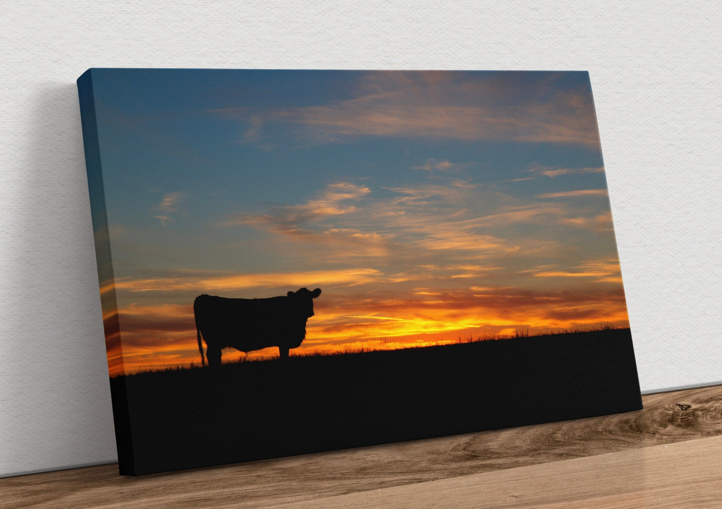 Black Angus Cow at Sunset Canvas Print Canvas-Unframed / 12 x 18 Inches Wall Art Teri James Photography