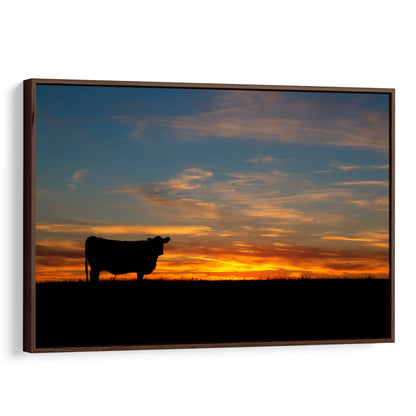 Black Angus Cow at Sunset Canvas Print Canvas-Walnut Frame / 12 x 18 Inches Wall Art Teri James Photography