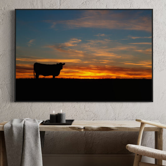 Black Angus Cow at Sunset Canvas Print Wall Art Teri James Photography