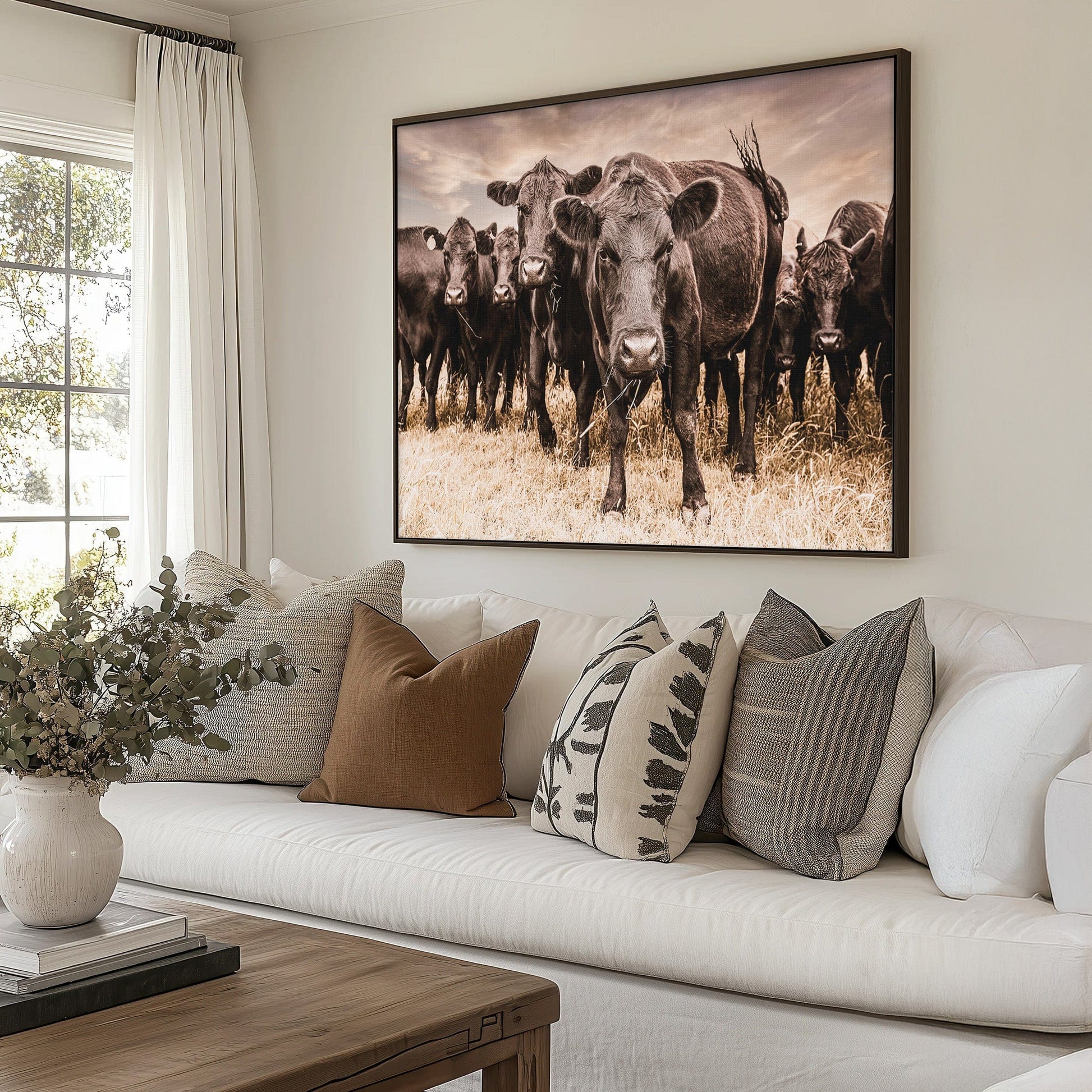 Black Angus Cow Canvas Wall Art Wall Art Teri James Photography