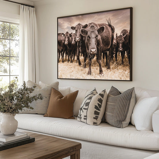 Black Angus Cow Canvas Wall Art Wall Art Teri James Photography