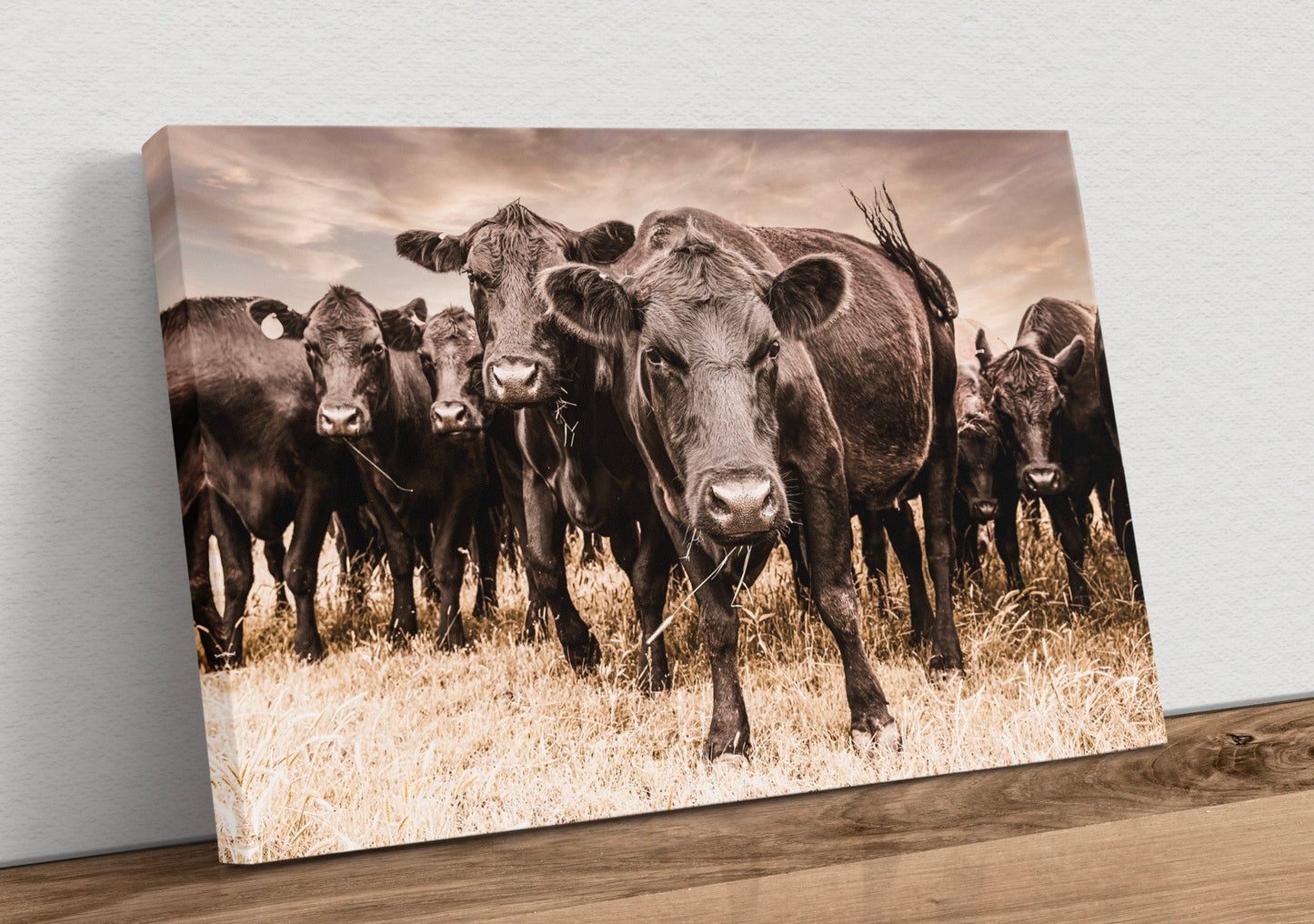 Black Angus Cow Canvas Wall Art Canvas-Unframed / 12 x 18 Inches Wall Art Teri James Photography