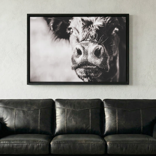 Black Angus Cow Closeup Wall Art Teri James Photography